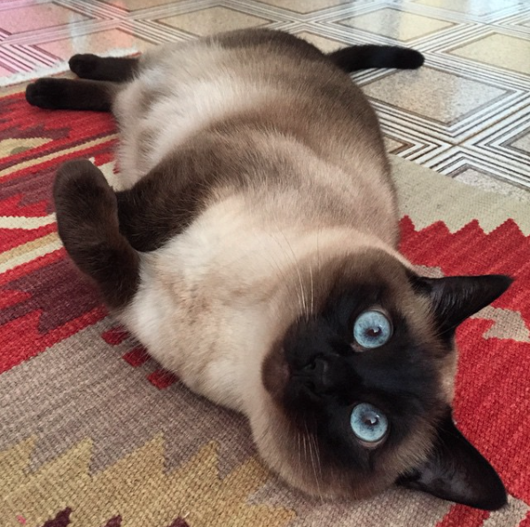 catsbeaversandducks:  Agata: She’s Cute, Crazy And Cross-Eyed “What?! I’m not