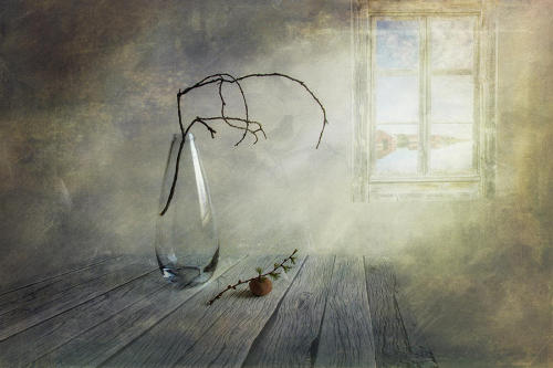 Feel A Little Spring by Veikko Suikkanen