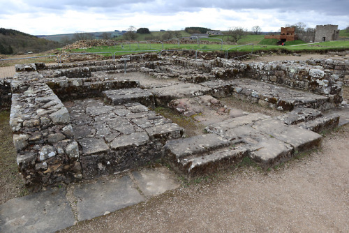 thesilicontribesman: The Headquarters Building, Vindolanda Roman Fort, Northumberland, 29.4.18. The 