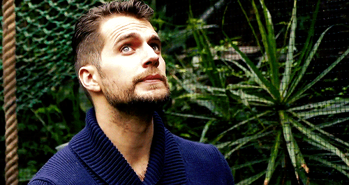 rorgers:  Henry Cavill meets adopted baby bat Ben 