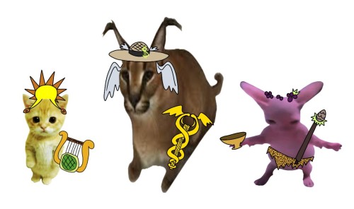 The Gang