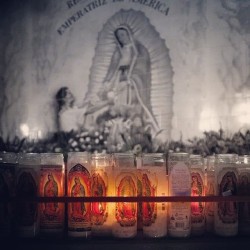 skylaraud:  #Guadalupe #virgindeguadalupe #dtla #igdtla #losangeles #iglosangeles #igla #onlyinla #socalmoments (at Cathedral of Our Lady of the Angels) 