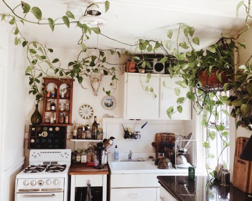 ohdreaming:apartment goals | here ☆
