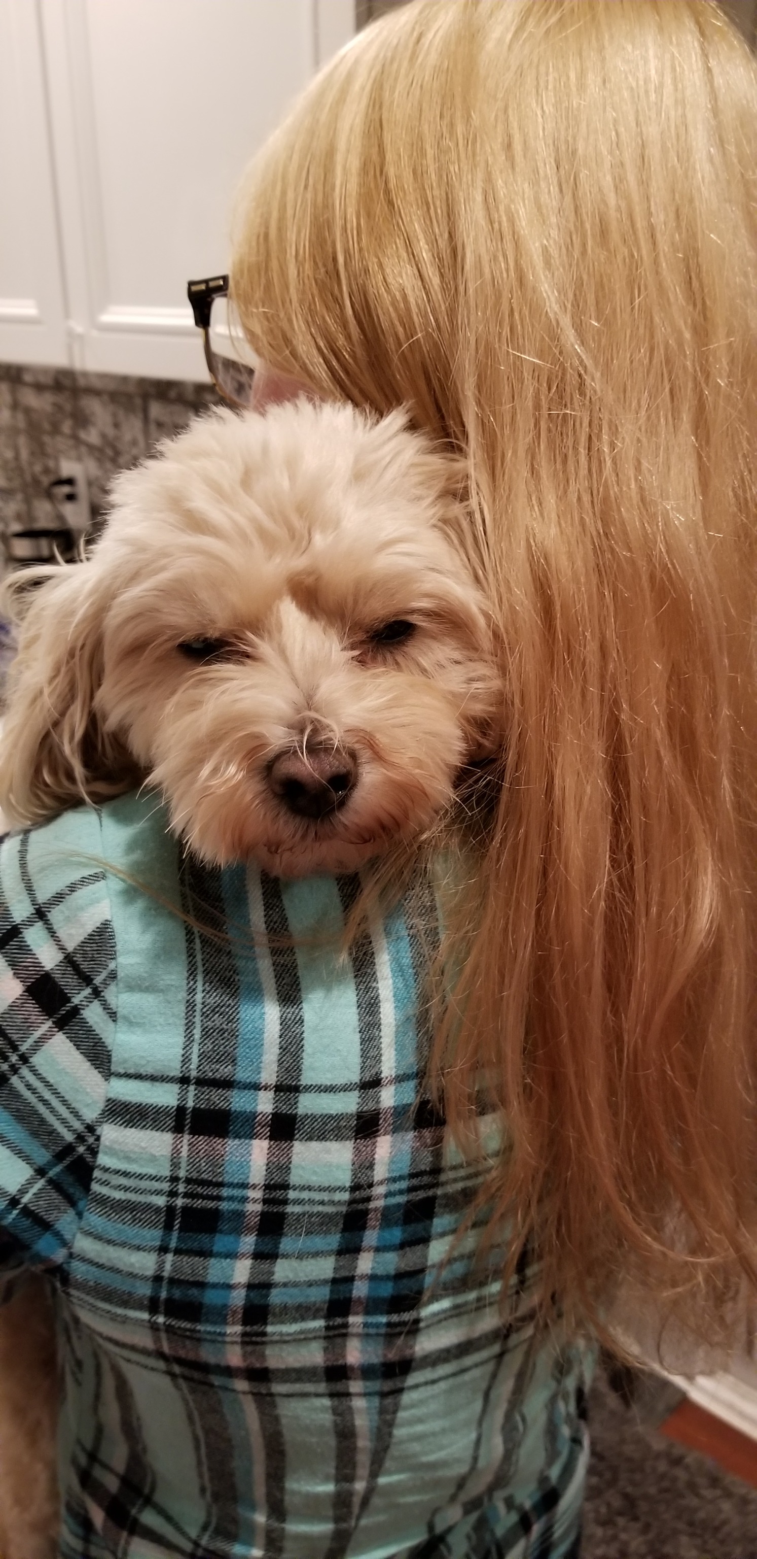 thingssthatmakemewet:Look at this precious boi my friend and her sister are dogsitting omg 😍🐶🐾 I love how adorable she is when interacting with dogs 😍😍🥰