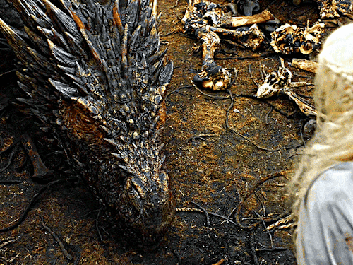 DAENERYS TARGARYEN And DROGON Game Of Thrones (2011-2019) 5.10