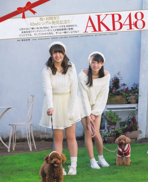 voz48reloaded:  「BOMB」 Jan 2015  