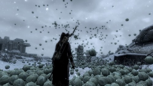 necromancer:  necromancer:  necromancer:  I just broke Skyrim by trying to spawn 20,000 cabbages   they’re just floating here as the game crashes, hailing the start of the apocalypse   I AM CABBAGEBORN 