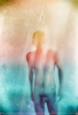 oespiritosanto:  SELF 2012 XI by davidfallu