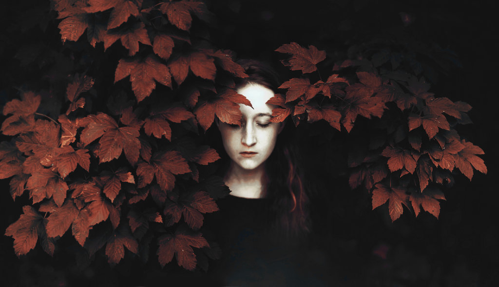 witchyautumns:  Shelter 2 by Tiina23  