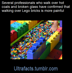 ultrafacts:  Source/article: [x] Click HERE for more facts! 