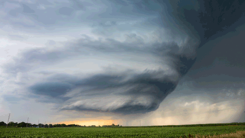 nevver:Sturm und drang, Mike Hollingshead