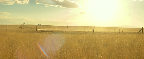 Hell or High Water, 2016DramaDirected by David MackenzieDirector of Photography: Giles Nuttgens