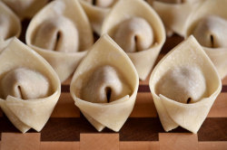 little wonton soldiers all lined up