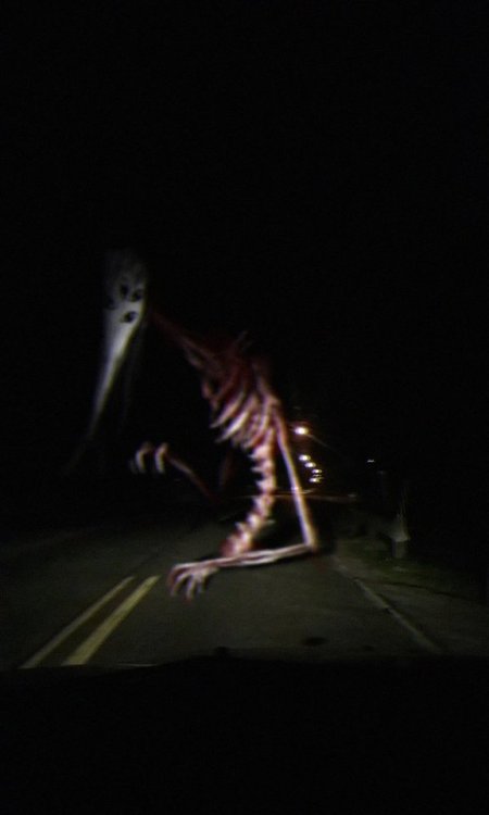 slimyswampghost:the god of roadkill