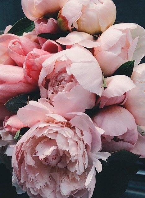 lostbeyondrepair:  xo on devrait s’aimer toi et moi ox   
