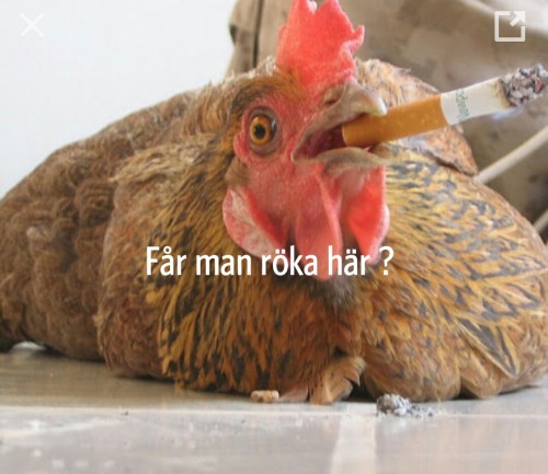 i dont give a fuck!Enjoy
