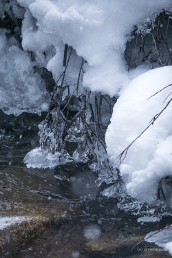 riverwindphotography:  Streambank ice in a snowstormriverwindphotography, December, 2018
