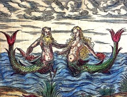 magictransistor:  Magic Transistor Mermaids &amp; Mermen