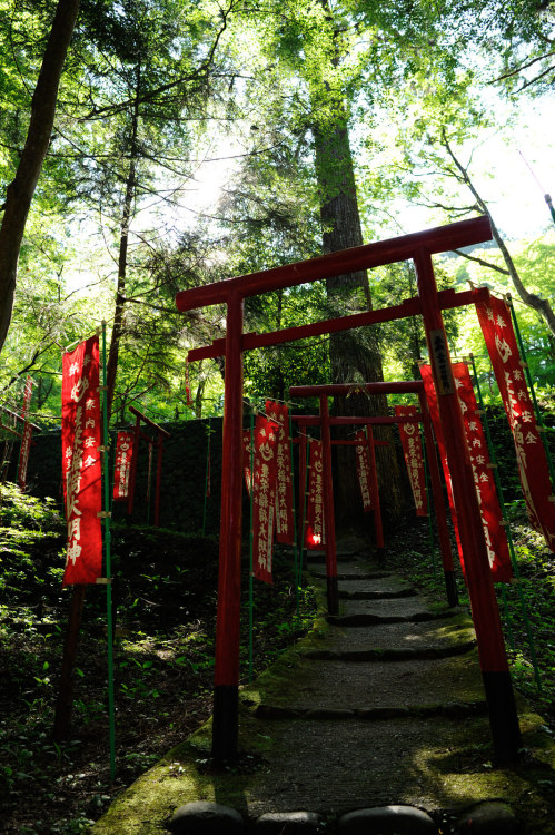 20150531 Korankei 2 by Bong GritVia Flickr:香嵐渓の赤鳥居。お稲荷さんがあるようです・・・。@Korankei, Asuke-area, Toyota, Ai