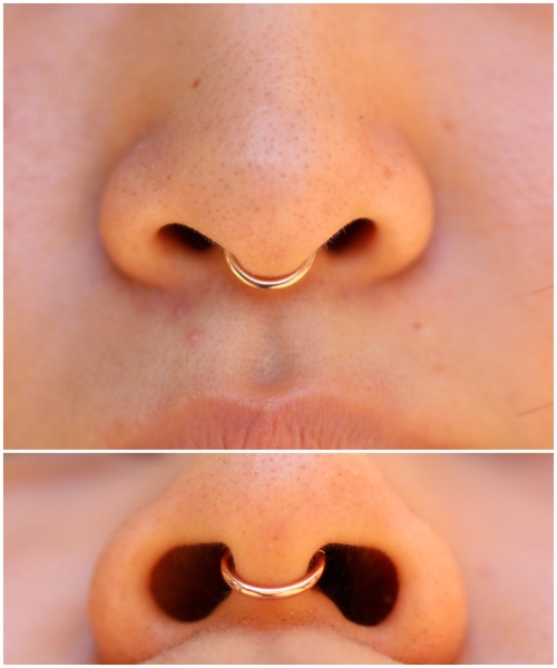 tobiasxvallone: Continuing with the simple trend of plain gold septum rings:  This is another r