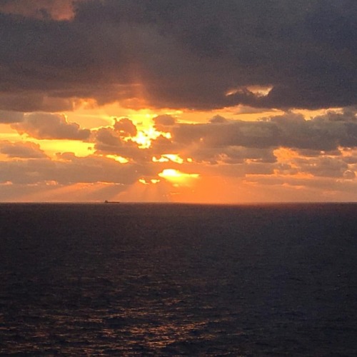 Sunrise at sea on Royal Caribbean’s Allure of the Sea. #sunriseatsea @royalcaribbean @royalcaribbean