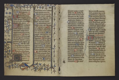 Wee dwagons! From the borders of the former verso of the second leaf of this disbound bifolium, Ms. 