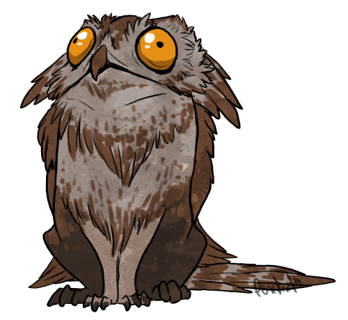 pencilcat:  Today’s Sketch_Dailies was gryphon and I couldn’t pass up the opportunity to draw the amazing Potoo again. 