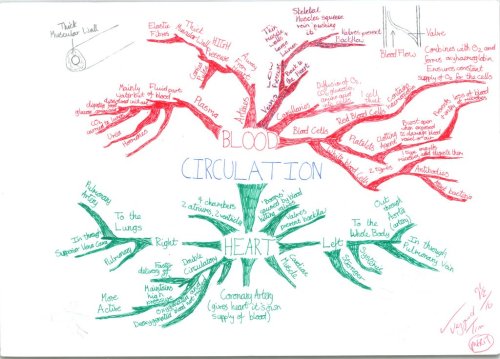 For the 2015 MCAT think of the Circulatory System as a Circuit! Some useful links here: Review of Ca