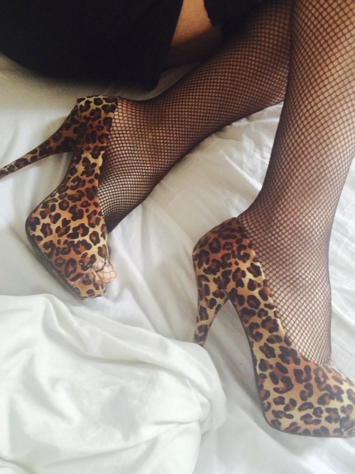 plikespanties:  Leopard Heels  Still shopping for something sexy to go with these. Looking for inspiration I’ve slipped into my stretchy black mini skirt, fishnets & some very sheer black mesh panties. I think it’s quite a naughty combo &