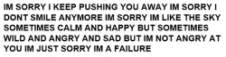 brokenand&ndash;sad:  loved-and—lost:  I’m sorry, I’m sorry, I’m sorry, I’m sorry, I’m sorry, I’m so sorry 