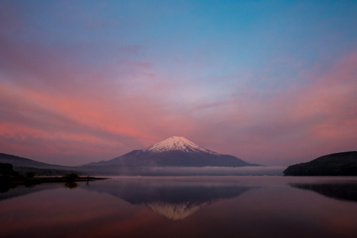tulipnight:  Fuji  of May thru the Day by shinichiro* on Flickr.