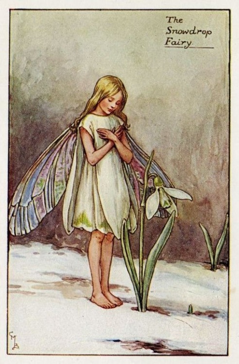 english-idylls:Flower Fairies of the Winter by Ciclely Mary Barker.