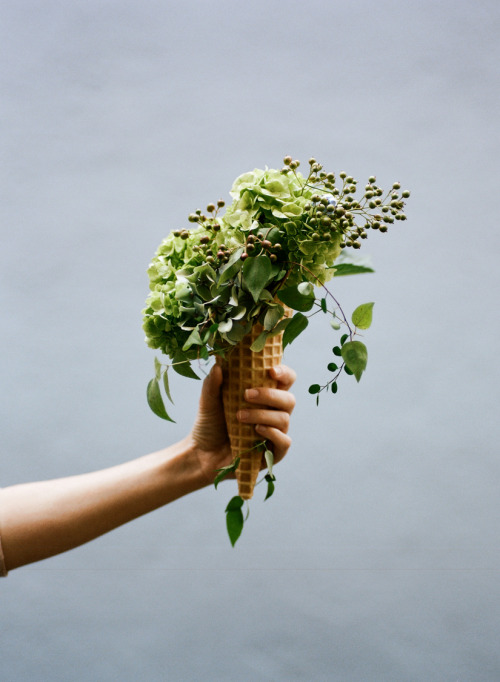 helloitslara:Floral Scoops | Kinfolk Magazine ph. Parker Fitzgerald