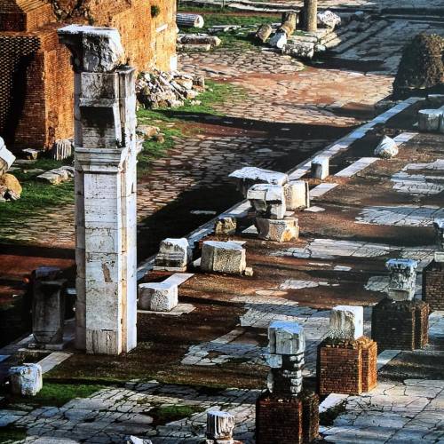 #forumromanum #romanforum #remains #ruins #basilicajulia #ancienthistory #historyofrome #ancientrome