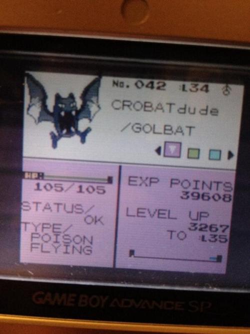markjl:  i bought pokemon crystal online from someone and their nicknames are possibly the greatest nicknames i have ever encountered 