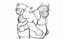 Boar duo!