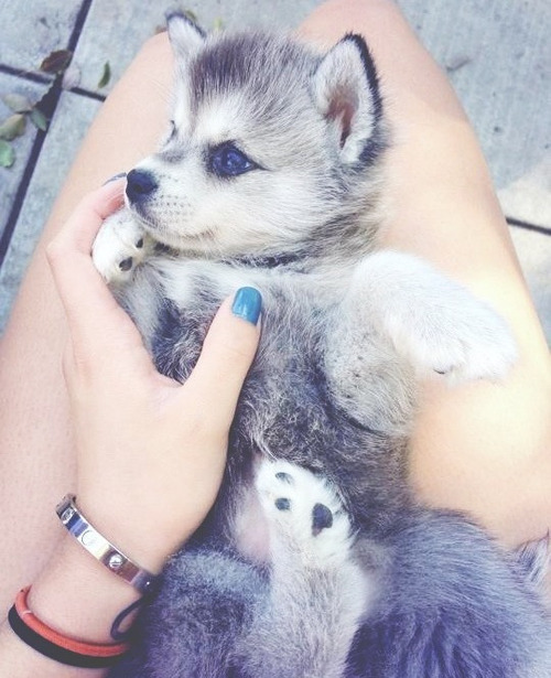 teenagepics:  If you’re a teen you must follow this blog. 