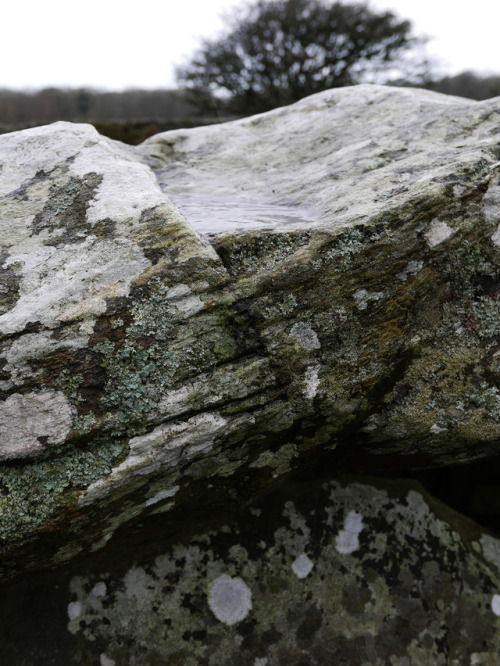 Cors Y Gedol Burial Chamber, nr. Barmouth, North Wales, 20.1.18.A beautiful Neolithic burial chamber