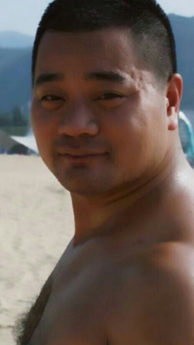 Asia bear