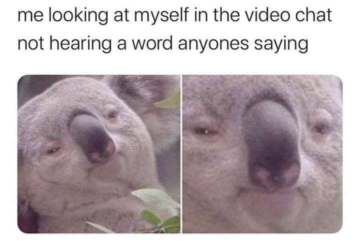 knowwhatimeme: