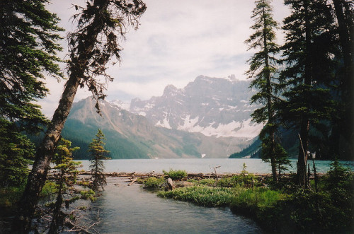 magicsystem:Cephren Lake outlet (by Walks On Rocks)