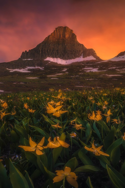 maureen2musings: Glacier National Park   ryandyar   