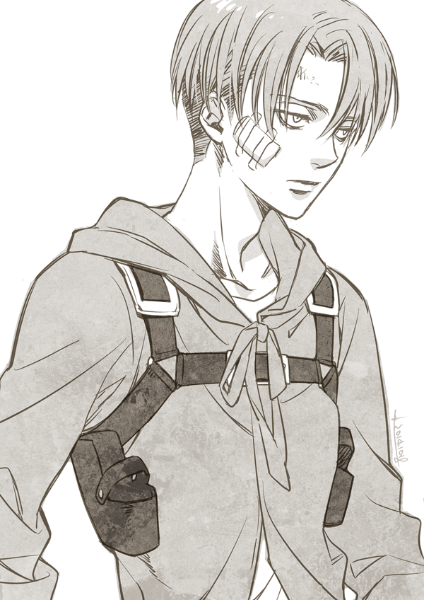 Shingeki : Log