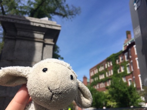 Good morning Cambyses!Would you like to join cambyses on a tour of Boston&rsquo;s historic capital d