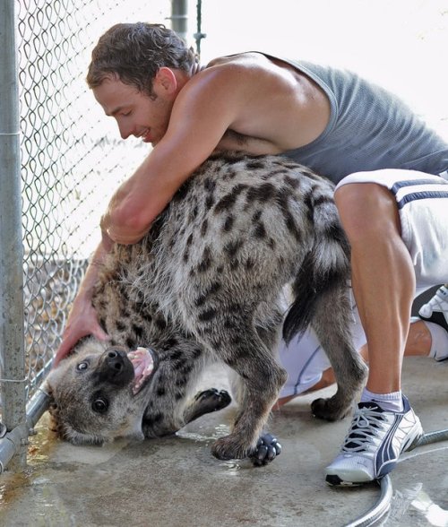 wildhyaena:  I can’t get over how adorable Jake is. LOOK AT HOW FRIGGIN ADORABLY CUTE HE IS WHEN HE GETS A BATH. I couldn’t find a share button on Facebook for all of these, so all photos are copyright Bryan Hawn and whoever took them. 