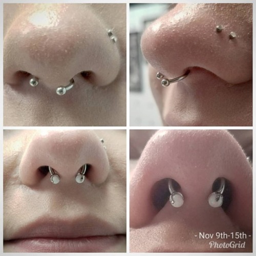 Corrected botched #septum #piercing with white #opal titanium jewelry  #APP #APPMember #safepiercing