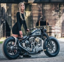 Harley Davidson Owner