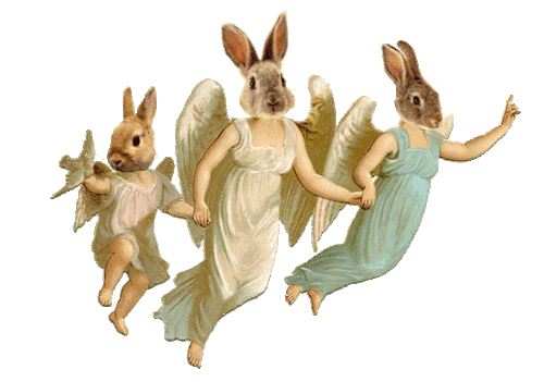 rabbit and angels thingz