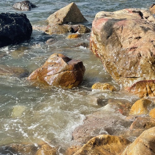 Oh, How I Love The Sea!