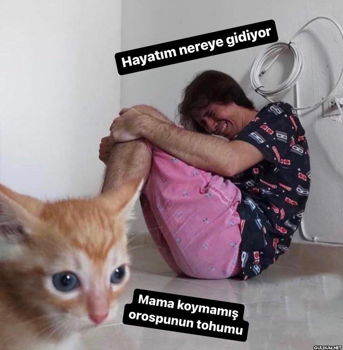 Hayatım nereye gidiyor...